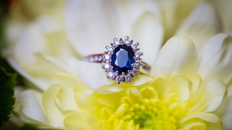 A sapphire ring on a bed of flowers 