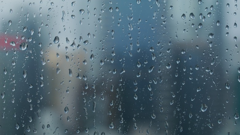 rain on window