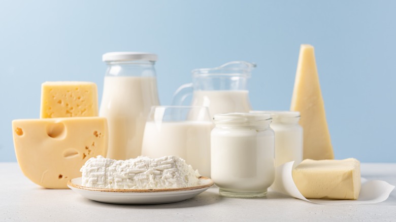 variety of dairy products