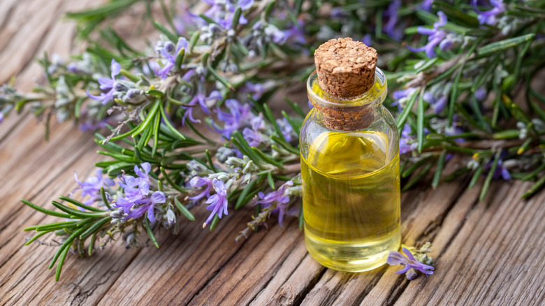 bottle of rosemary oil