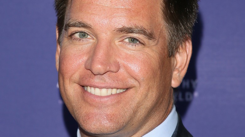 Michael Weatherly smiling 