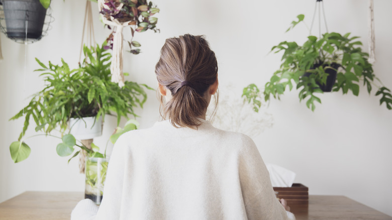 woman working office plants