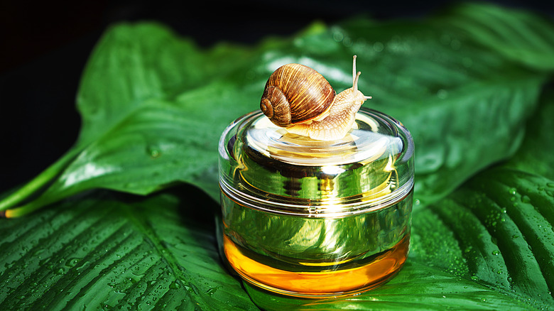 Snail sitting on container