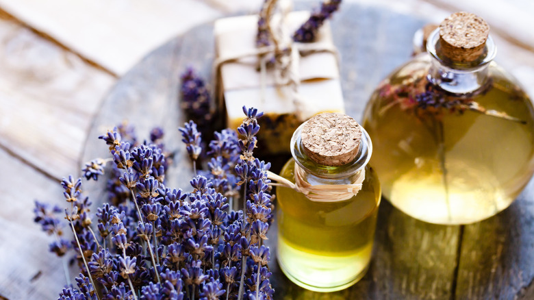 lavender oil with lavender stems