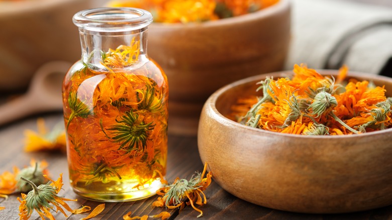 marigold oil with marigold buds