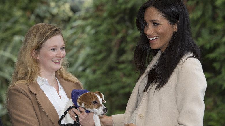 Meghan Markle standing with a volunteer and a dog at Mayhew