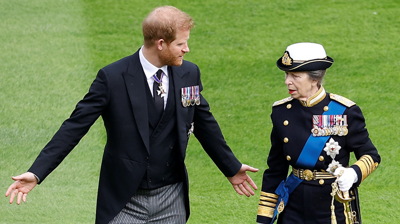 Prince Harry and Princess Anne speaking