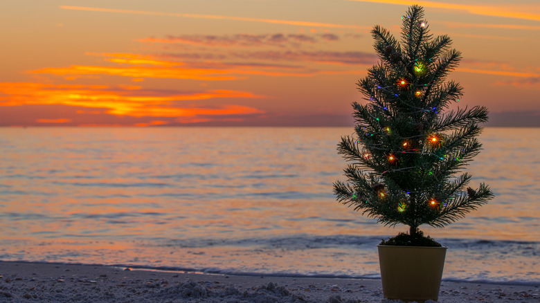 Christmas tree on the beach at sunset