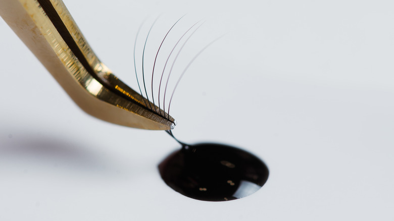 close-up of lash extensions being dipped in glue