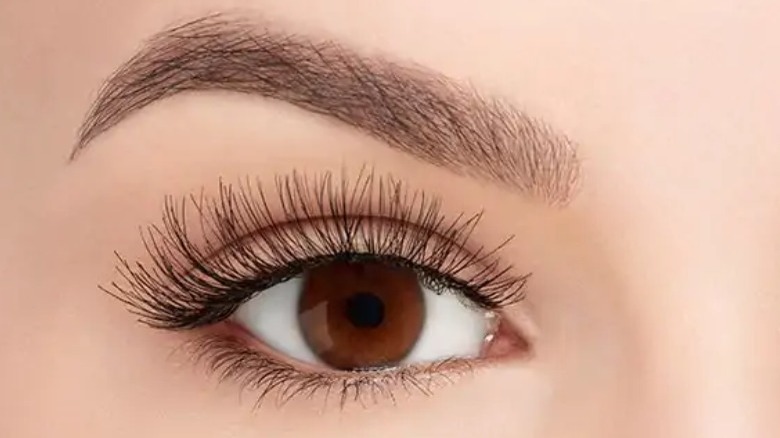 Ardell Lash Demi Wispies on an eye