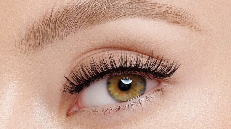 Velour Lashes Effortless No Trim Natural Lash Collection in style Final Touch on an eye