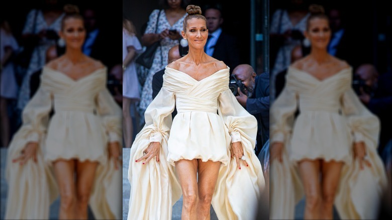 Celine Dion wearing big sleeves