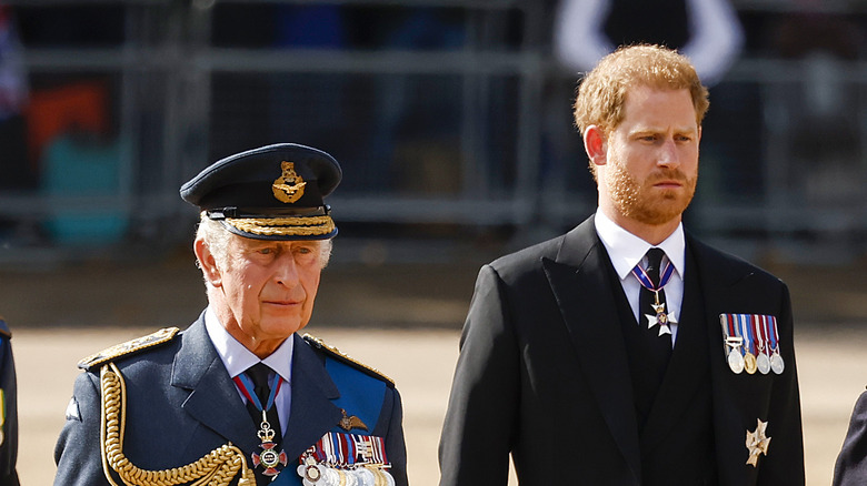 King Charles in uniform, Prince Harry in morning suit Queen's funeral procession