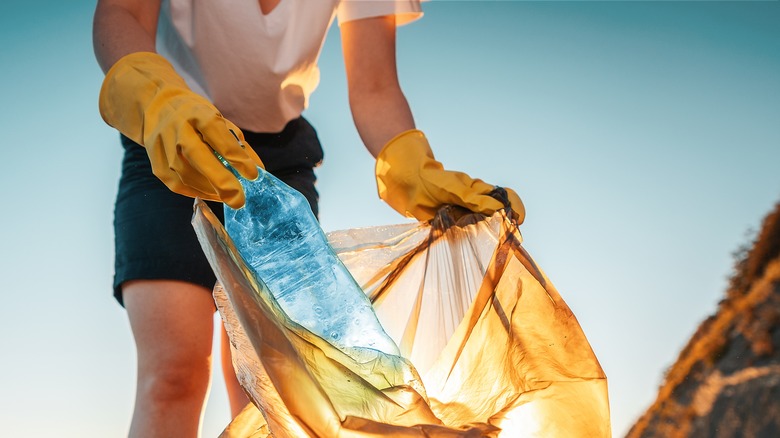 Person collecting plastic waste 