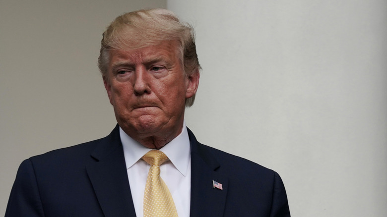 President Donald Trump appears at a Rose Garden statement on the census on July 11, 2019 in Washington, DC