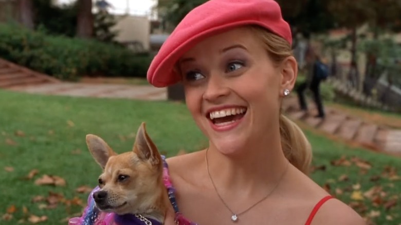 Elle and Bruiser Woods in Legally Blonde