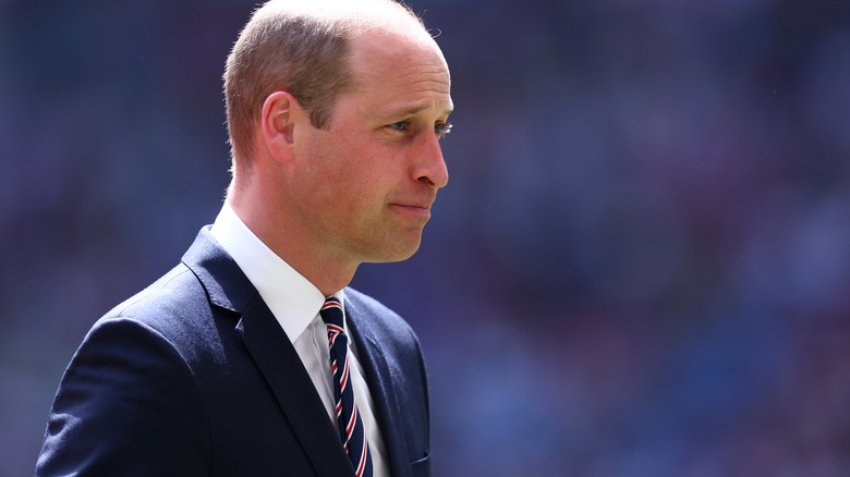 Prince William profile