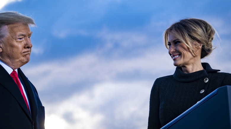 Donald, Melania, blue sky background