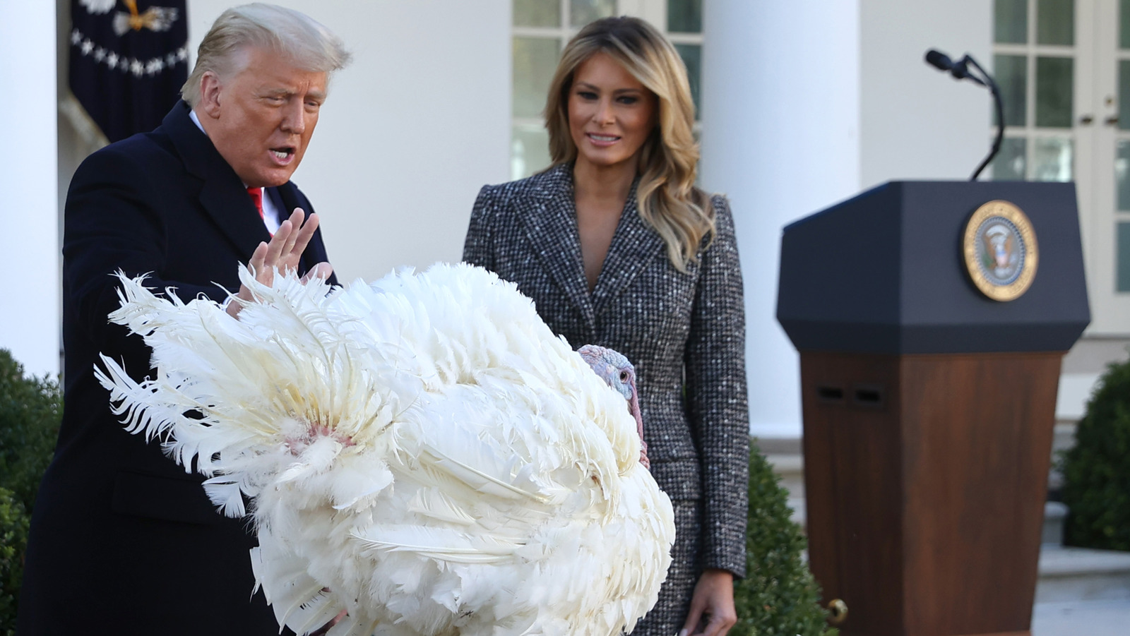 President Trump's Thanksgiving Proclamation Is Raising Eyebrows