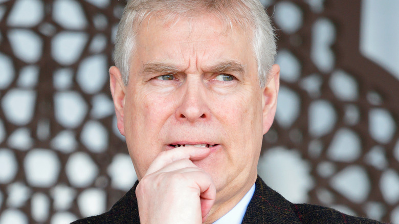 Prince Andrew considers something