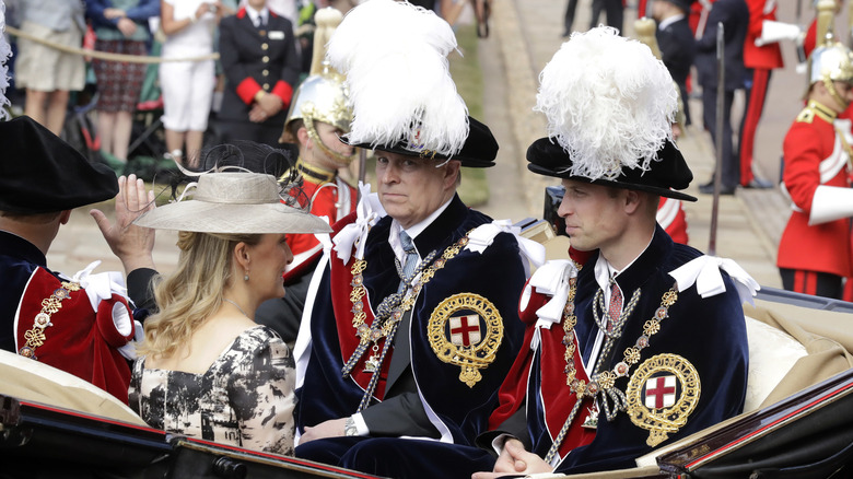 Prince Andrew and Prince William at Garter service