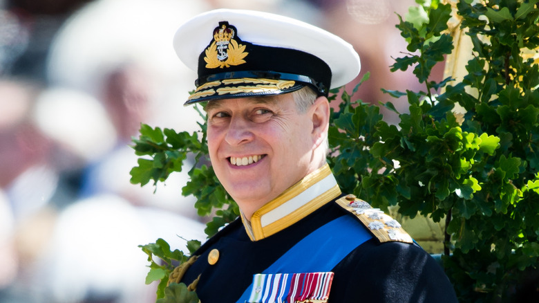 Prince Andrew photographed wearing military garb