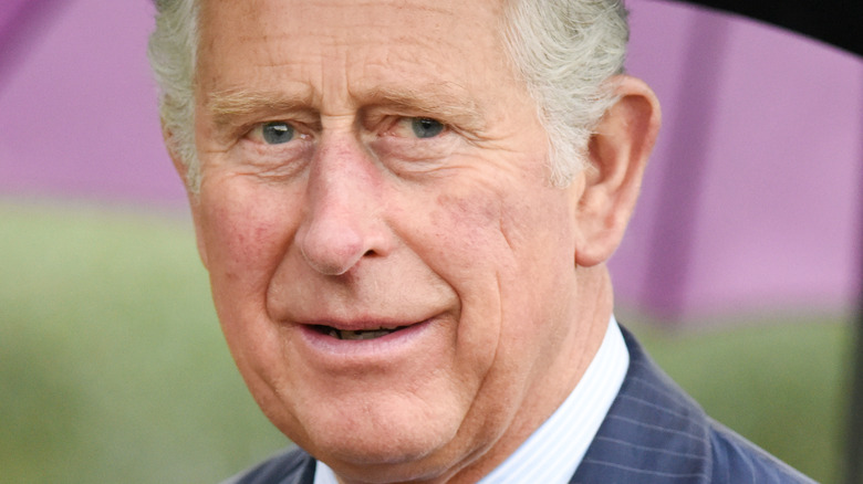 Prince Charles 2019