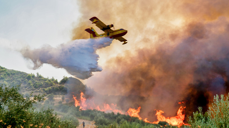 Plane combatting a wildfire in Greece