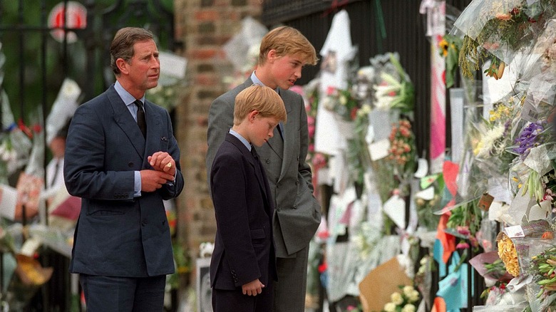 Charles and his sons at Diana's memorial 