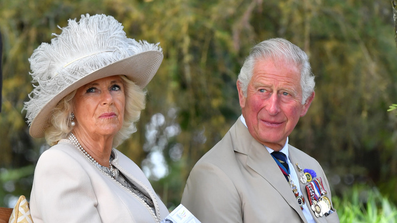 Charles and Camilla sitting 