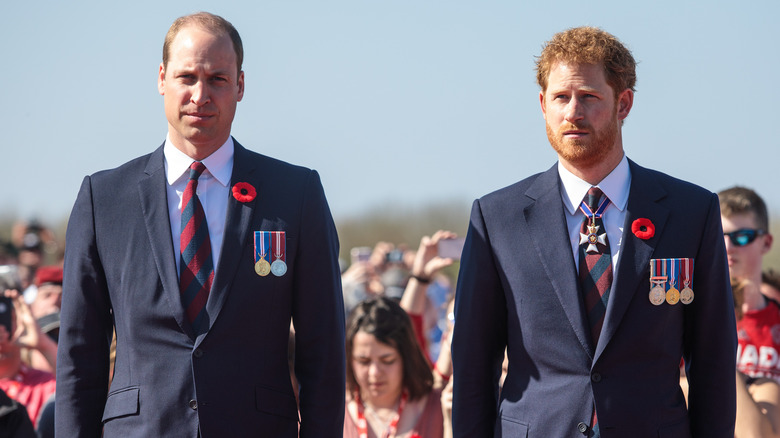 Prince William and prince Harry