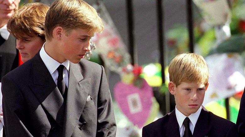 William and Harry at Diana's funeral 