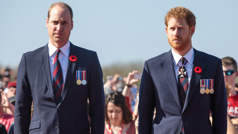 Prince William and Prince Harry