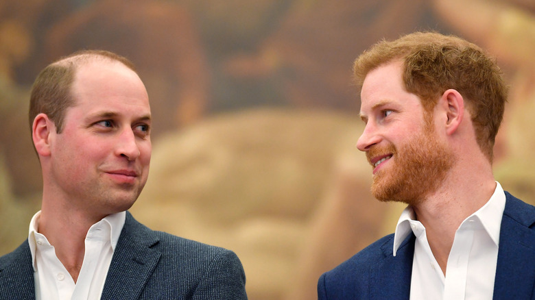 Prince William and Prince Harry looking at each other