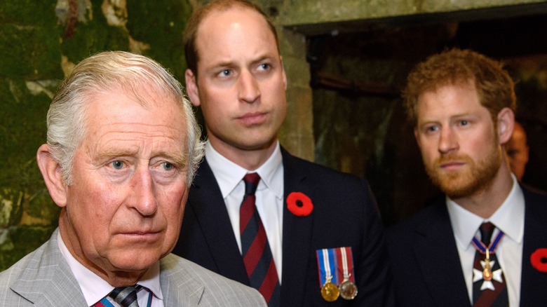 Prince Charles, Prince William and Prince Harry look intense