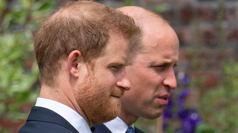 Prince Harry and Prince William Diana memorial