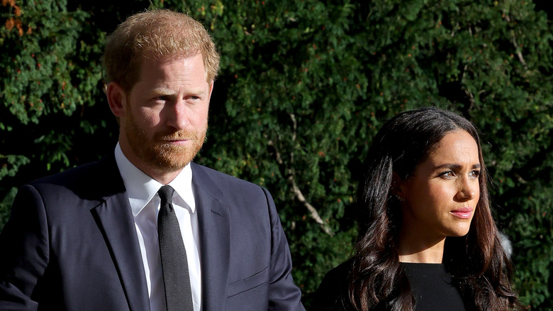 Meghan Markle and Prince Harry looking solemn