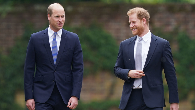 Prince William and Prince Harry sharing a smile