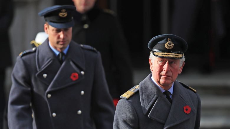 King Charles looking up with Prince William behind