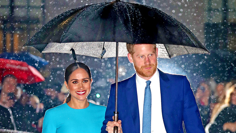 Meghan Markles wears a blue dress alongside Prince Harry.