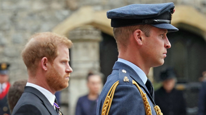 prince william and harry