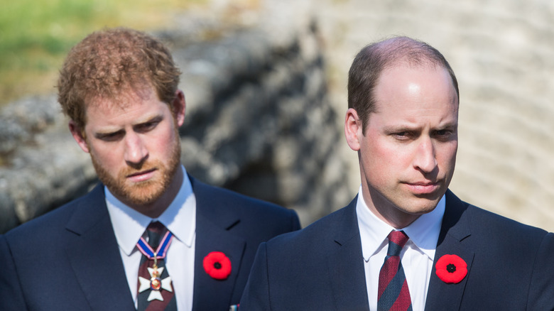 Prince Harry and Prince William frowning