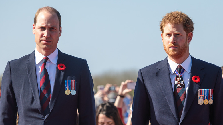 Prince William and Prince Harry stand side by side looking pensive