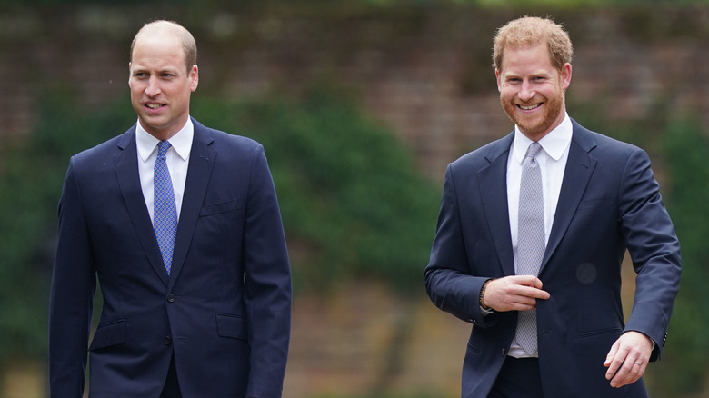 Prince William and Prince Harry walking and talking