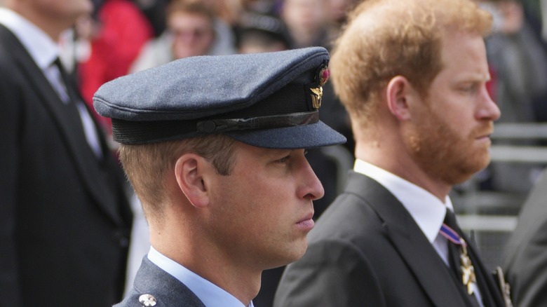 Prince William and Prince Harry solemn