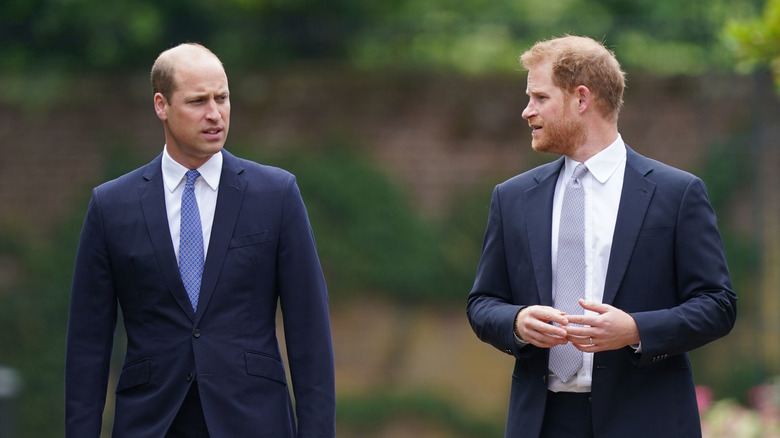 William and Harry walking and looking at each other