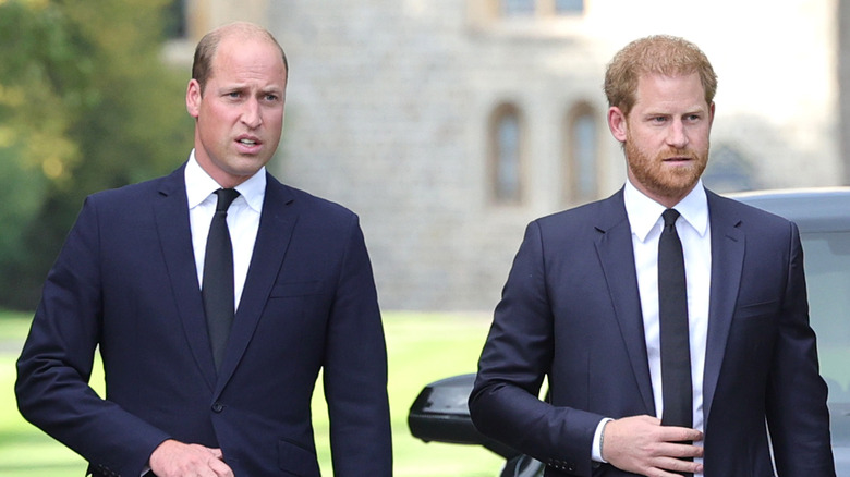 Prince William And Prince Harry Arent The Only Royal Siblings Who Had Rocky Relationships 