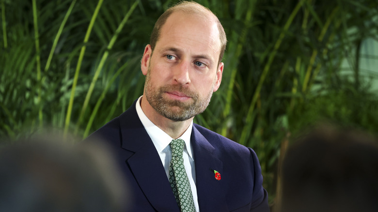 Prince William in Cape Town, South Africa, in November 2024