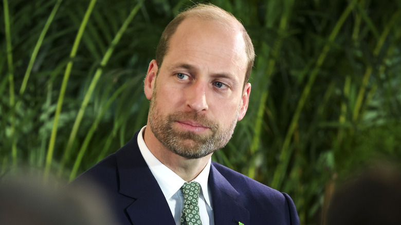 Prince William looking thoughtful