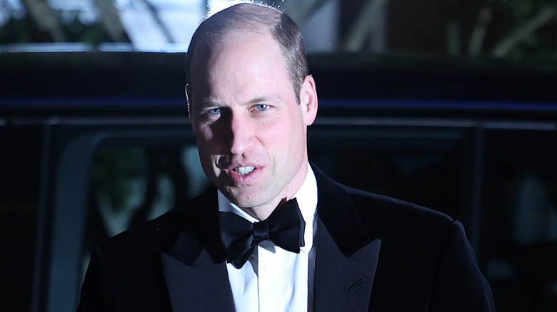 Prince William looking intriguing half in shadow